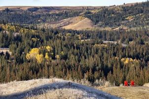 cypress hills première chute de neige photo