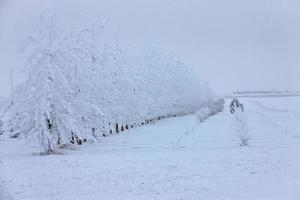 gel hiver saskatchewan photo