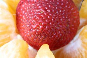 macro gros plan fruits photo