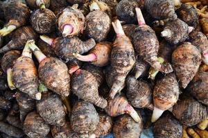 tas de racines de taro frais arrière-plan yautia lila pommes de terre satoimo photo