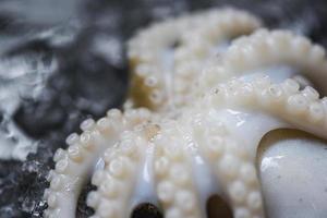 calmar de fruits de mer sur la glace close up tentacule de poulpe frais calamars crus gastronomiques de l'océan