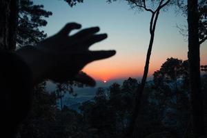 lever de soleil tôt le matin dans la forêt photo