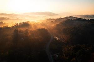 brouillard matinal doré dans la forêt photo