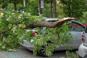 voiture détruite dans photo