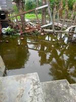 des cours et des jardins qui ont été submergés par l'eau en raison d'inondations nocturnes. photo