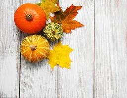 citrouilles et feuilles photo