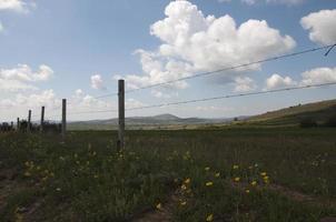 clôture métallique à la campagne. champs verts avec des fleurs sauvages. collines en arrière-plan. soria, espagne photo