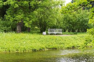 banc dans le parc d'été près de la rivière. photo