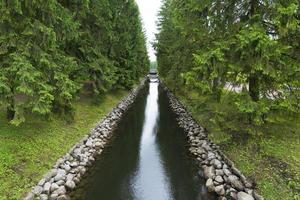 un petit canal d'eau avec des conifères et un pont. photo