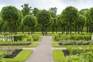 parc d'été avec allées et bancs près des sentiers pédestres. photo