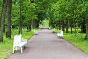 parc d'été avec bancs blancs et sentiers. photo