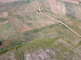 terres agricoles à flanc de montagne en thaïlande rurale, photographie de paysage, photographie de drone photo