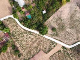 terres agricoles à flanc de montagne en thaïlande rurale, photographie de paysage, photographie de drone photo