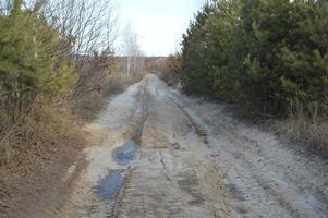 route forestière gelée avec de la glace et de la neige photo