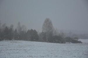 panorama d'un champ agricole recouvert de neige en hiver photo