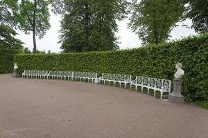 parc d'été avec bancs blancs et sentiers. photo