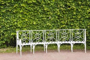 parc catherine à tsarskoïe selo avec des bancs blancs. photo