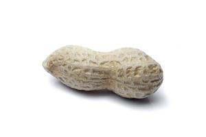 une seule cacahuète isolée sur fond blanc photo