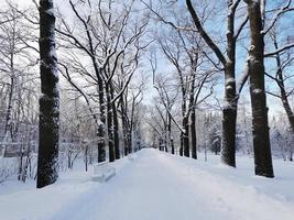 Catherine Park à Pouchkine un jour d'hiver photo