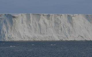 antarctique champs de glace sans fin icebergs dans la mer photo