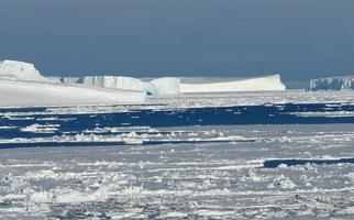 antarctique champs de glace sans fin icebergs dans la mer photo
