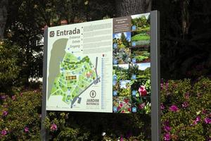 funchal, portugal, 13 février 2020 - détail du jardin botanique de madère à fuchal, portugal. jardin ouvert au public en 1960 et compte plus de 345.000 visiteurs par an. photo