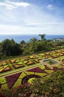 funchal, portugal, 13 février 2020 - détail du jardin botanique de madère à fuchal, portugal. jardin ouvert au public en 1960 et compte plus de 345.000 visiteurs par an. photo