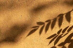 ombres de brindilles de plantes sur le mur de béton du mur teinté d'orange photo