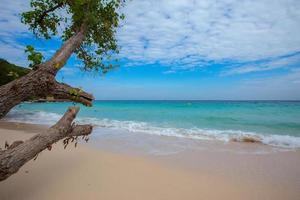 plage, mer, sable, climat tropical, ciel photo