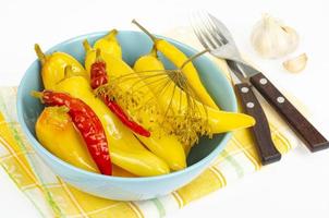 assiette avec du paprika chaud mariné. photographie de studio photo