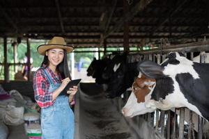 femmes asiatiques agriculture et industrie agricole et concept d'élevage - jeunes femmes ou agricultrices avec ordinateur tablette et vaches dans l'étable d'une ferme laitière avec machines à traire les vaches photo