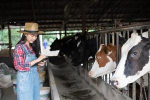 femmes asiatiques agriculture et industrie agricole et concept d'élevage - jeunes femmes ou agricultrices avec ordinateur tablette et vaches dans l'étable d'une ferme laitière avec machines à traire les vaches photo