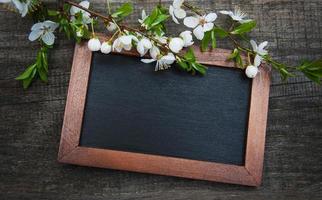 fleur de cerisier de printemps et tableau noir photo