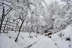 route enneigée dans le village photo