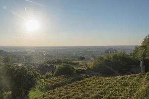 champ de vigne vue rapprochée d'en haut. la ville de tivoli au coucher du soleil. photo