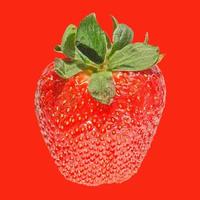 fraise sur rouge photo