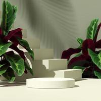 Image de rendu d'illustration 3D de la forme géométrique du podium de la maquette de l'espace vide et de la nature verte sur le thème de l'affichage du produit photo