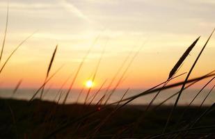coucher de soleil dans les dunes photo