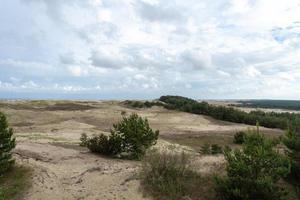 vue imprenable sur les dunes de sable gris à l'isthme de Courlande. photo