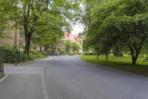 route goudronnée, champ vert et aux abords du village en été. photo