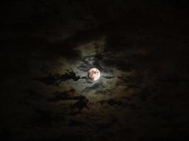 vue sur la lune photo