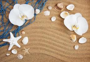 coquillages avec du sable et des fleurs d'orchidées photo