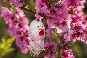 oeuf de pâques décoratif suspendu à un cerisier en fleurs avec des fleurs roses. photo