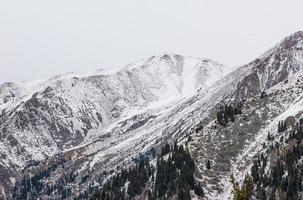 paysage de montagnes rocheuses d'hiver avec brouillard photo