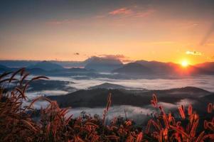 beau lever de soleil sur la montagne doi luang chiang dao avec brouillard et herbe dans le parc national au point de vue den tv photo