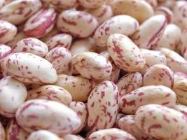 salade de haricots borlotti photo