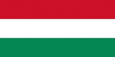 drapeau hongrois texturé de la hongrie photo
