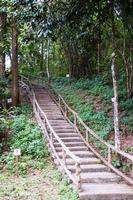 cascade de bua thong et parc national de chet si fountion chiang mai photo