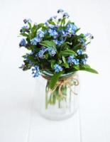 bouquet de myosotis photo