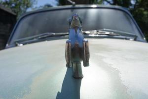 sébastopol, crimée-31 mai 2018 - arrière-plan avec une figure de cerf sur le capot d'une vieille voiture gaz-21 photo
